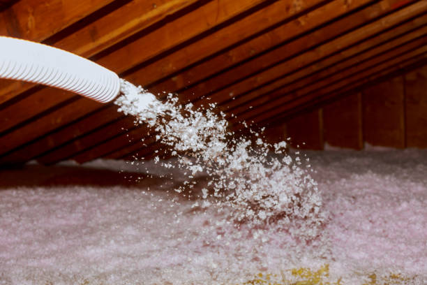 Types of Insulation We Offer in Princeton, FL