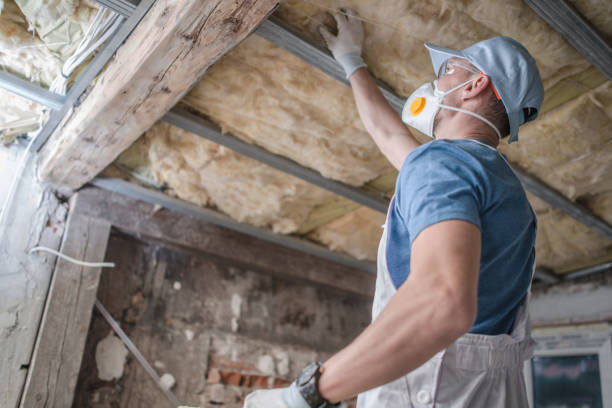 Best Insulation for Specific Applications in Princeton, FL
