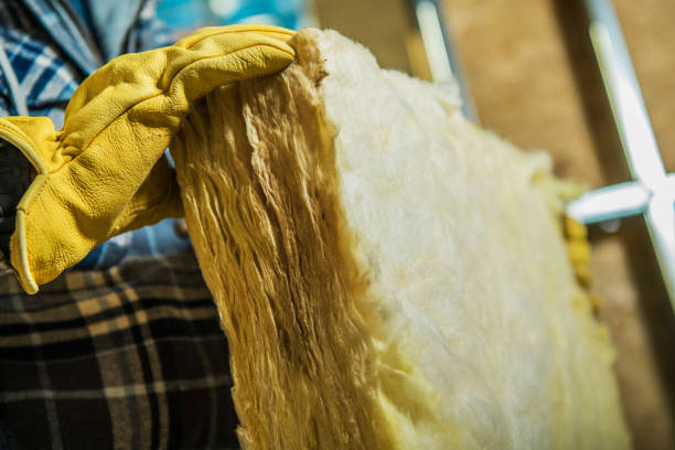 Best DIY Insulation Kits and Guidance in Princeton, FL