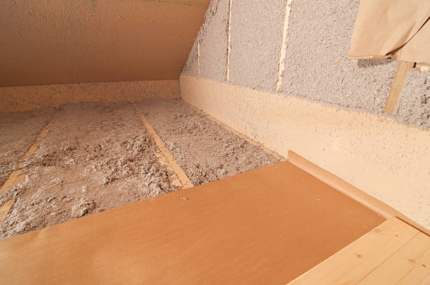 Best Cellulose Insulation in Princeton, FL