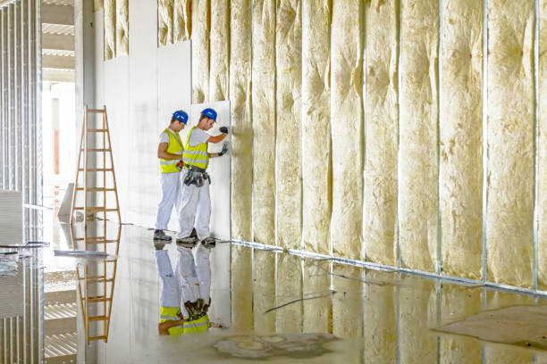 Best Insulation for Specific Applications in Princeton, FL